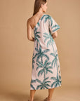 Janey Dress